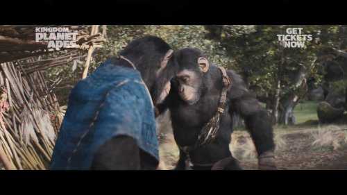 《猩球崛起4》新预告：人类携手猿猴对抗邪恶